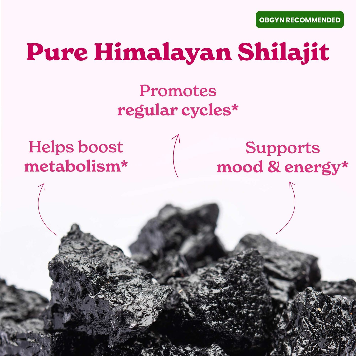 Sainava™ Shilajit Honey Sticks