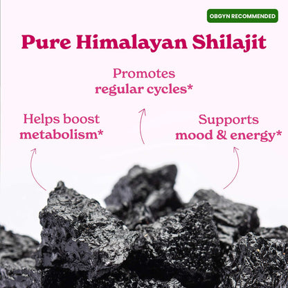 Sainava™ Shilajit Honey Sticks